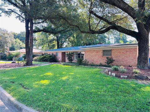 413 Davis Drive, Athens, TX 75751 — photo 2