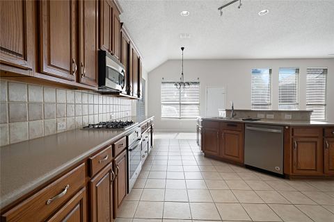 10910 Blackberry Lane, Frisco, TX 75033 — photo 2
