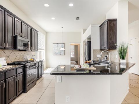1317 Wheatear Drive, Little Elm, TX 75068 — photo 2