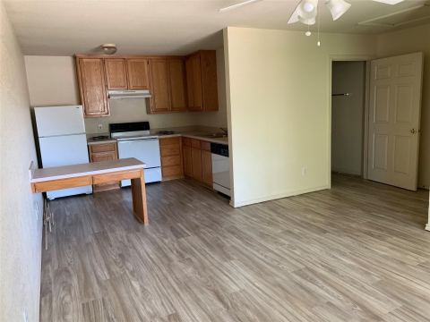 315 Bernard Street, Denton, TX 76201 — photo 2