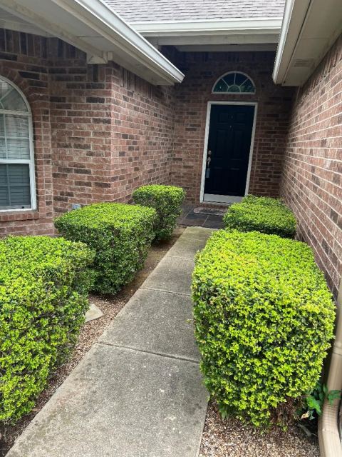 8501 Blacktail Trail, McKinney, TX 75070 — photo 3