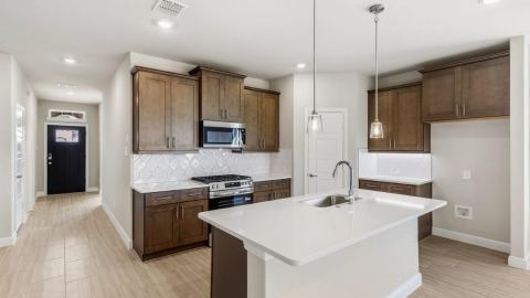 17125 MANZANILLA Drive, Justin, TX 76247 — photo 2
