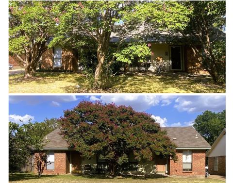 1107 Park Street, Arlington, TX 76011 — photo 3