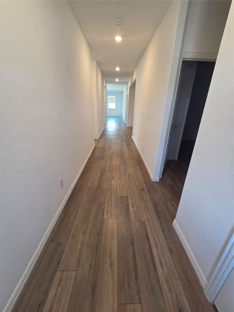 3300 Cardinal Flower Place, McKinney, TX 75071 — photo 2