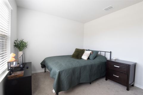 9501 Mountain Mint Drive, Fort Worth, TX 76131 — photo 3