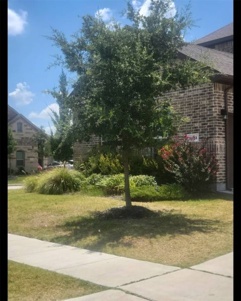 3403 April Breeze, Grand Prairie, TX 76065 — photo 2
