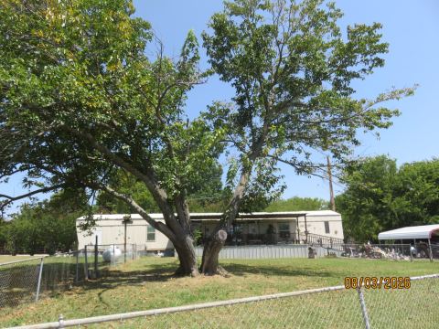 2542 Greenfield, Princeton, TX 75407 — photo 2
