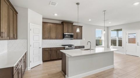 17137 MANZANILLA Drive, Justin, TX 76247 — photo 3