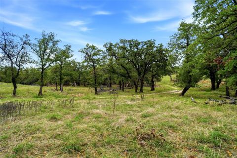 1633 Three Skillet Road, Springtown, TX 76082 — photo 3