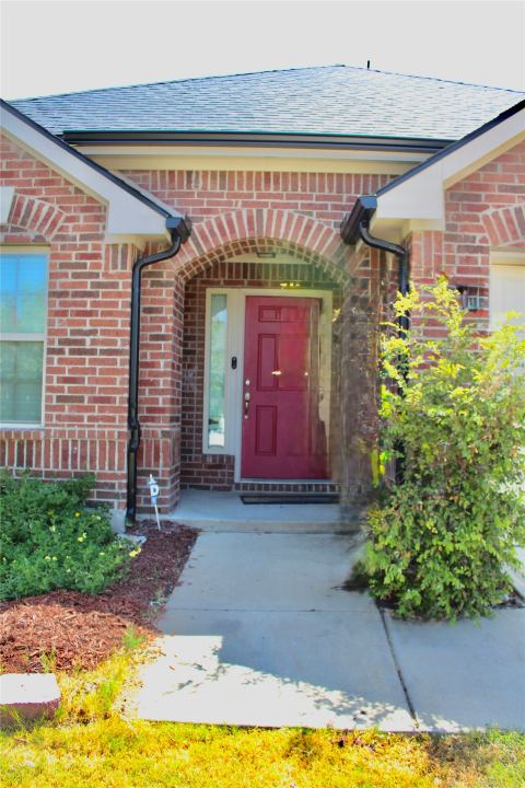 809 Kinghaven Drive, Little Elm, TX 75068 — photo 3