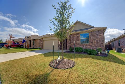 1203 Mahogany Lane, Princeton, TX 75407 — photo 3