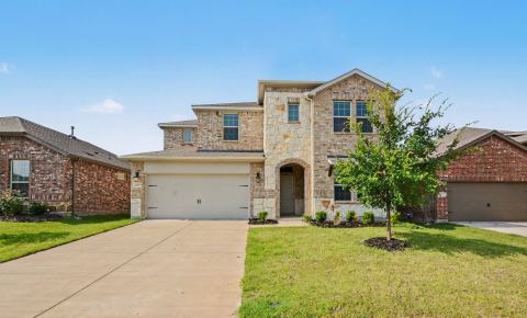 2209 Sue Ellen Street, Anna, TX 75409 — photo 3