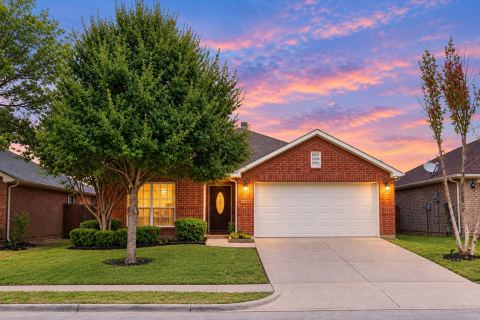 2029 Sunny Side Drive, Little Elm, TX 75068 — photo 3
