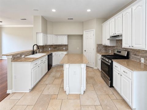 1017 Laurel Oak Drive, Flower Mound, TX 75028 — photo 2