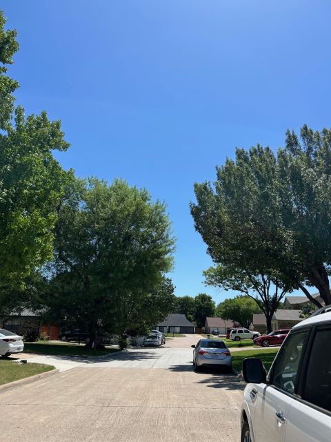 2319 Abbington Lane, Grand Prairie, TX 75052 — photo 3