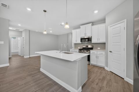 17144 MANZANILLA Drive, Justin, TX 76247 — photo 3