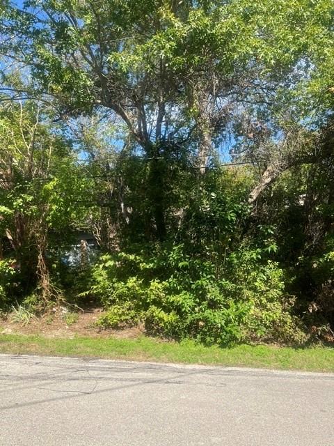 319 Rock Glen Street, DeSoto, TX 75115 — photo 3