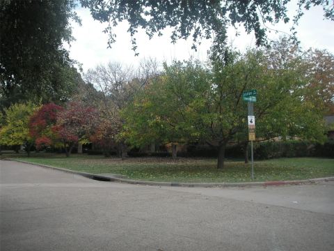 5208 Caladium Drive, Dallas, TX 75229 — photo 3