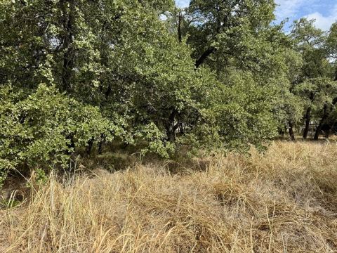 212 County Road 1746, Clifton, TX 76634 — photo 3