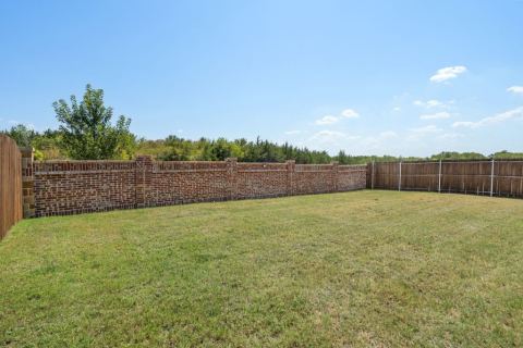 919 Gentle Rain Drive, Princeton, TX 75407 — photo 3