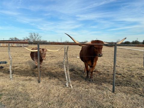 10917 County Road 290, Anna, TX 75409 — photo 3