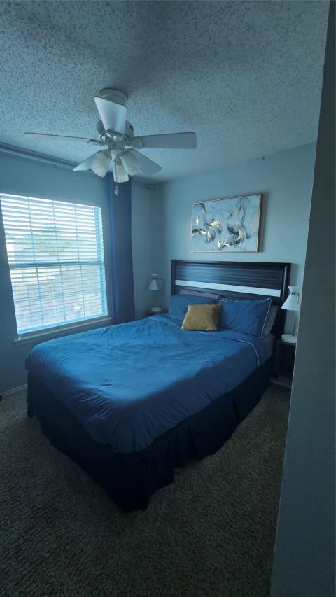 10504 Preston Vineyard Drive, Frisco, TX 75035 — photo 3