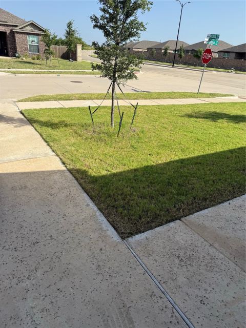 1001 Calhoun Drive, Anna, TX 75409 — photo 3