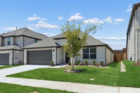 715 Summerberry Drive, Princeton, TX 75071 — photo 3