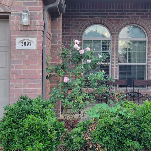 2007 Eagle Lake Drive, Forney, TX 75126 — photo 3