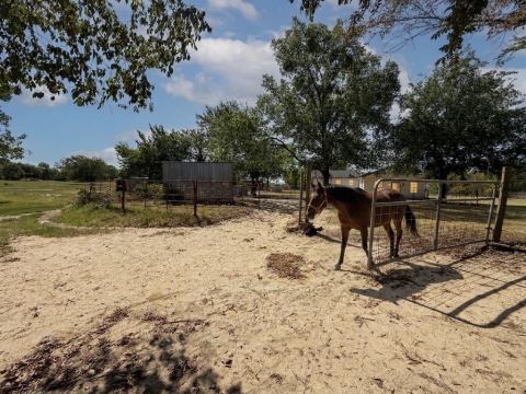 32951 Fm 47, Mabank, TX 75147 — photo 3
