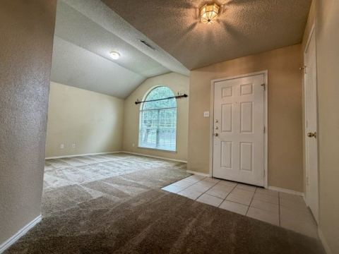 12333 Silver Mist Trail, Fort Worth, TX 76028 — photo 3