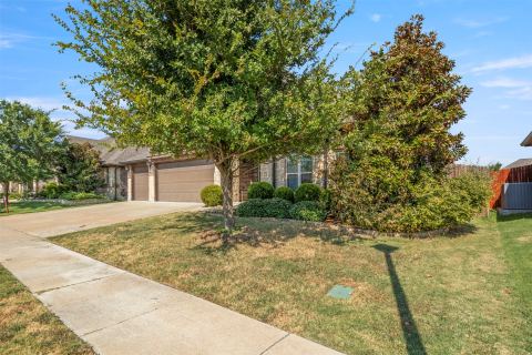 947 Mangrove Drive, Fate, TX 75087 — photo 3